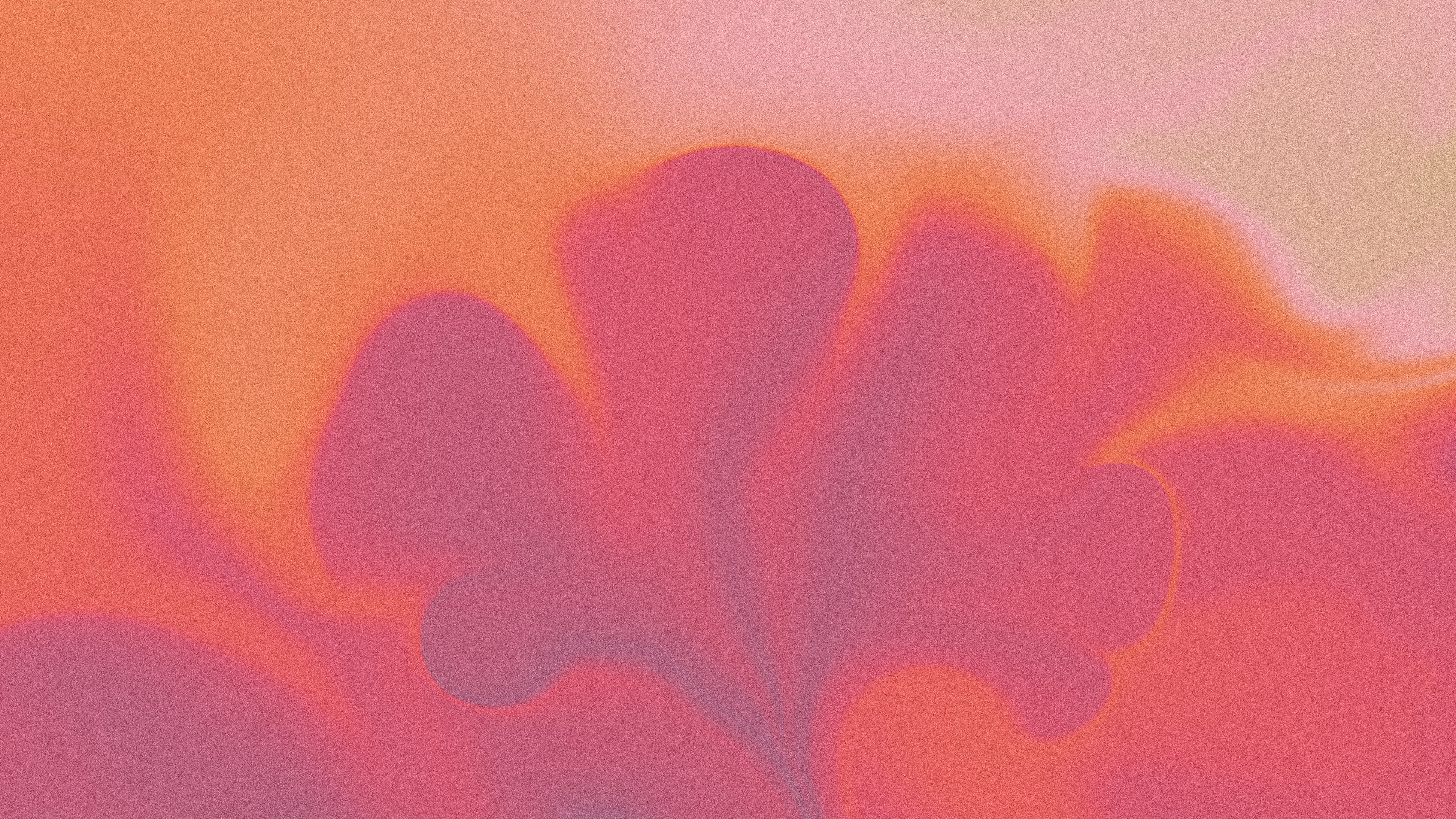 Sickboy Guest Application